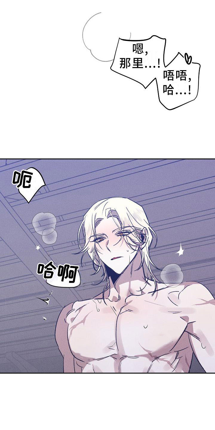 第1章：薰衣草花园：紫宝石2