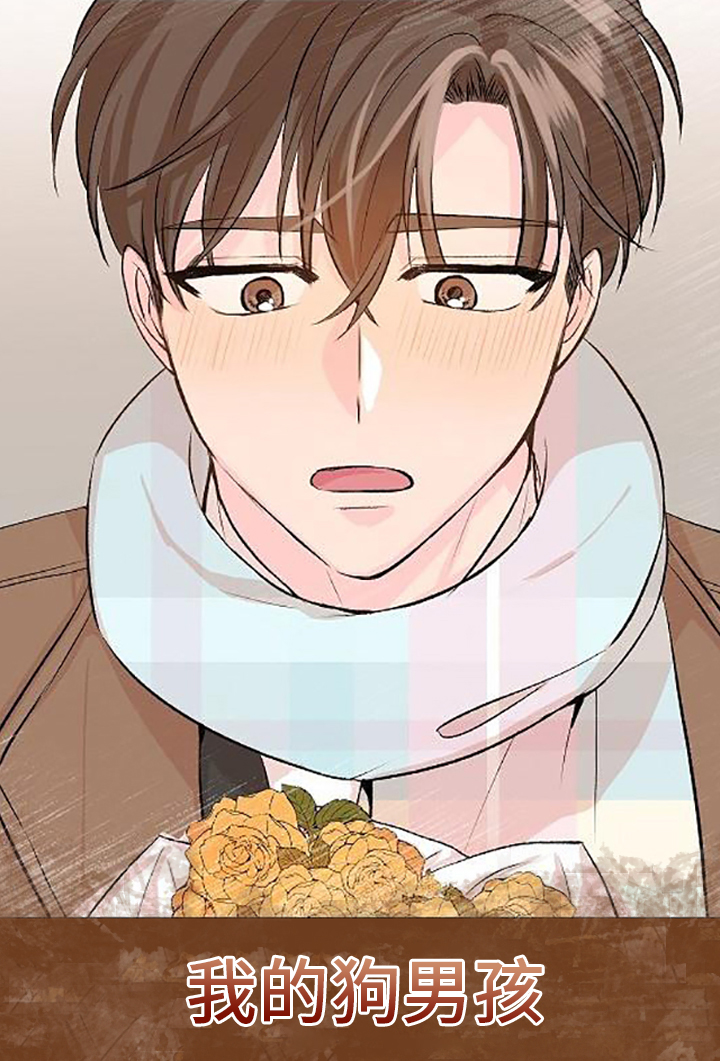 第20章：我的狗男孩：产品试用0