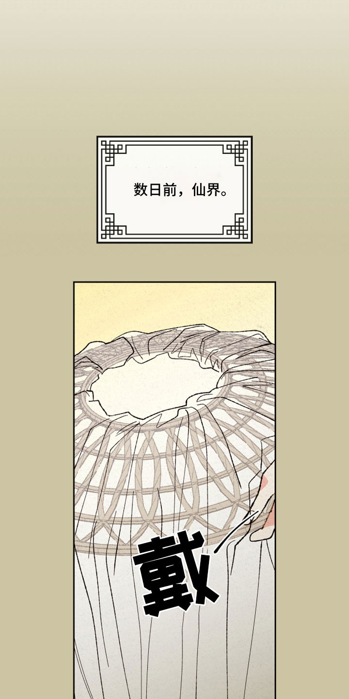 第51章：【第二季】重要的事1