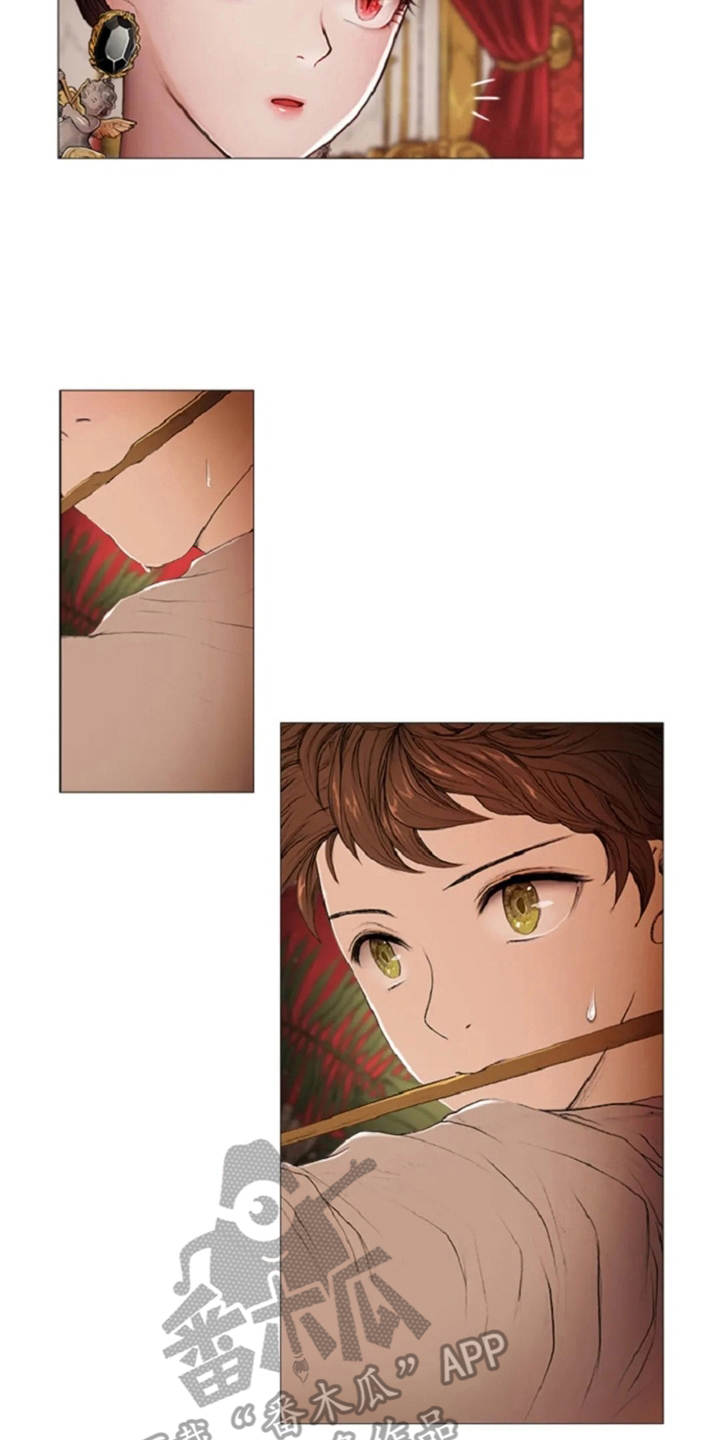 第11章：期待与好奇1