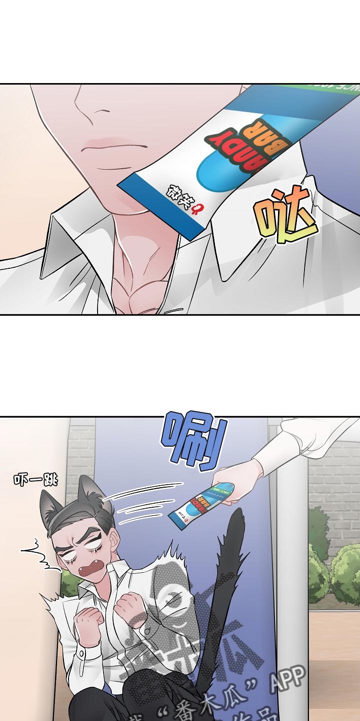 第31章：我能理解4