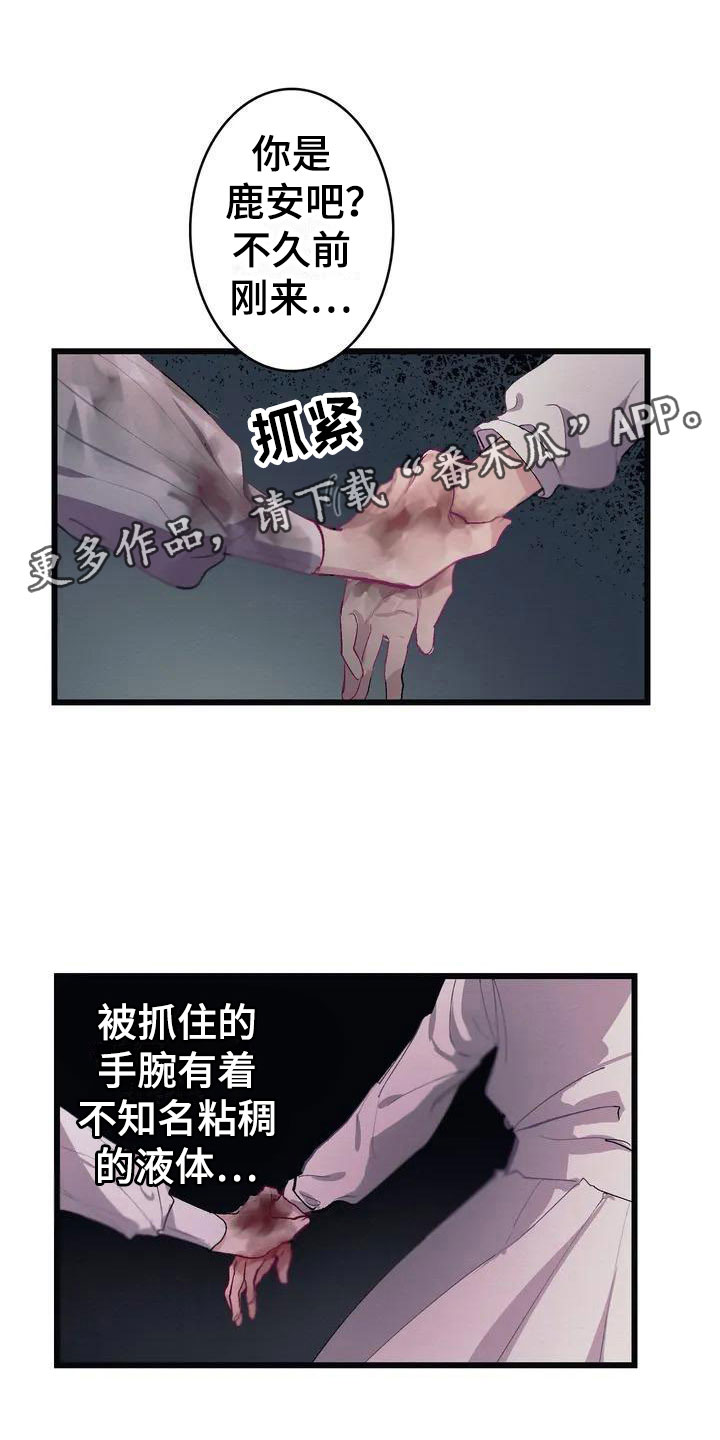 第4章：孤儿院真相0