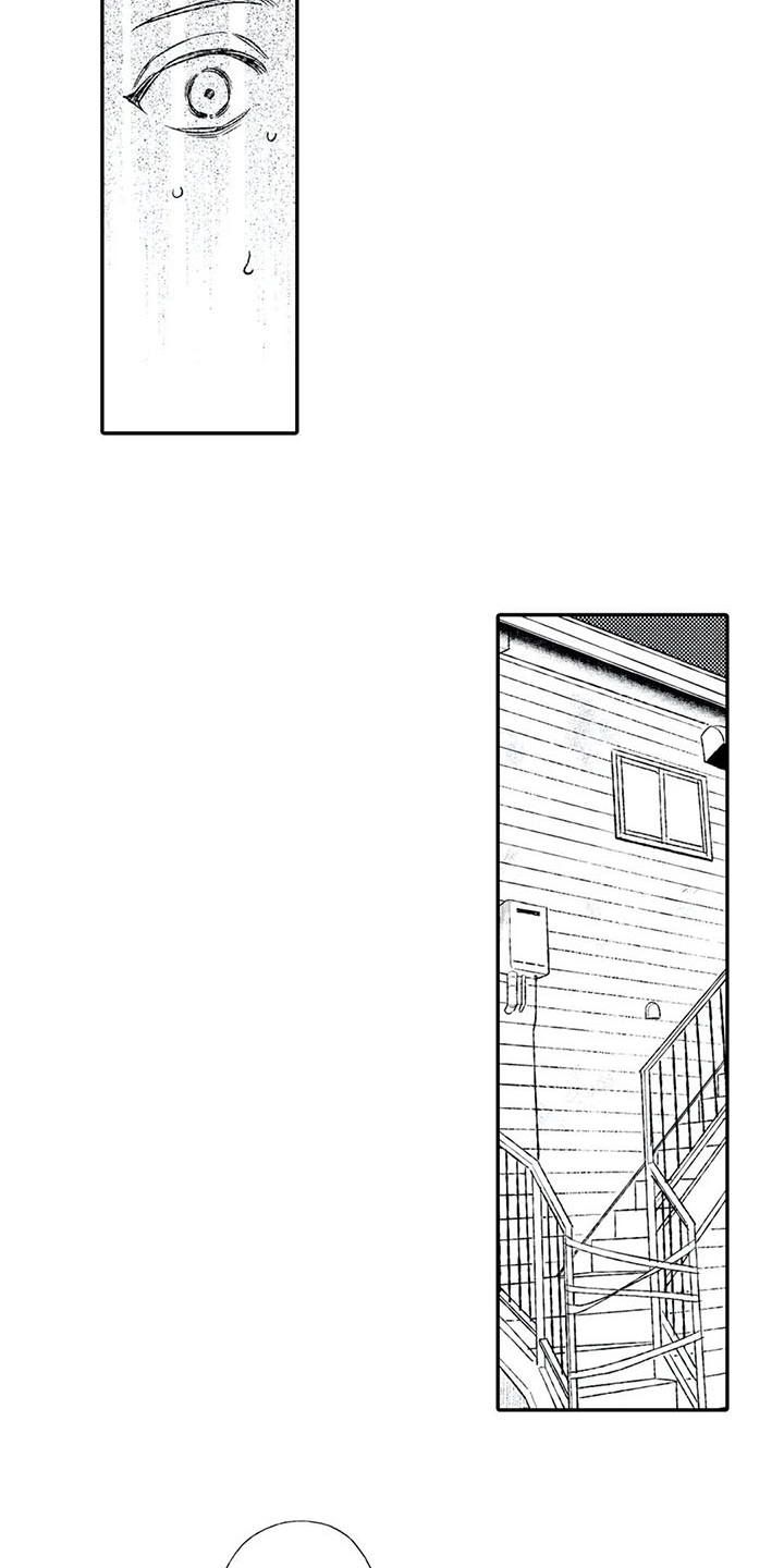 第16章：不说谎4