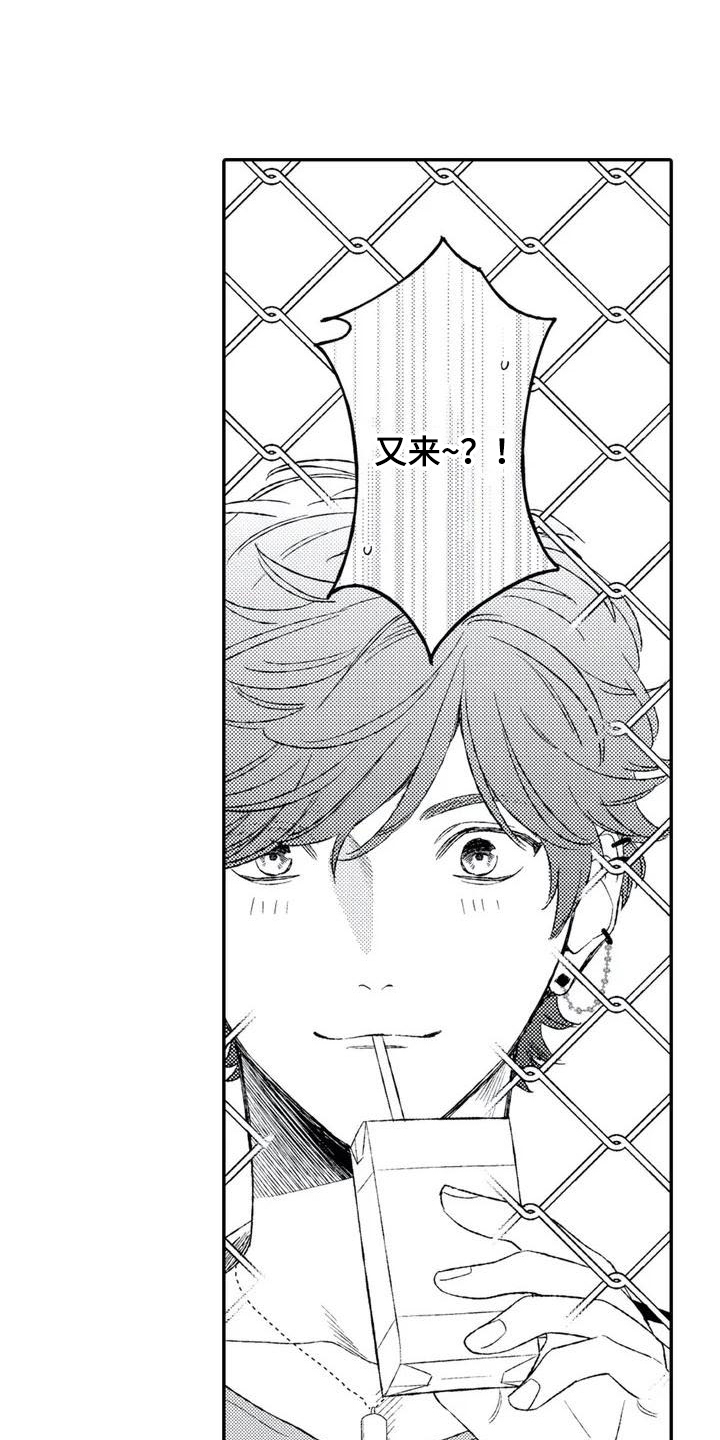 第1章：不良老大2