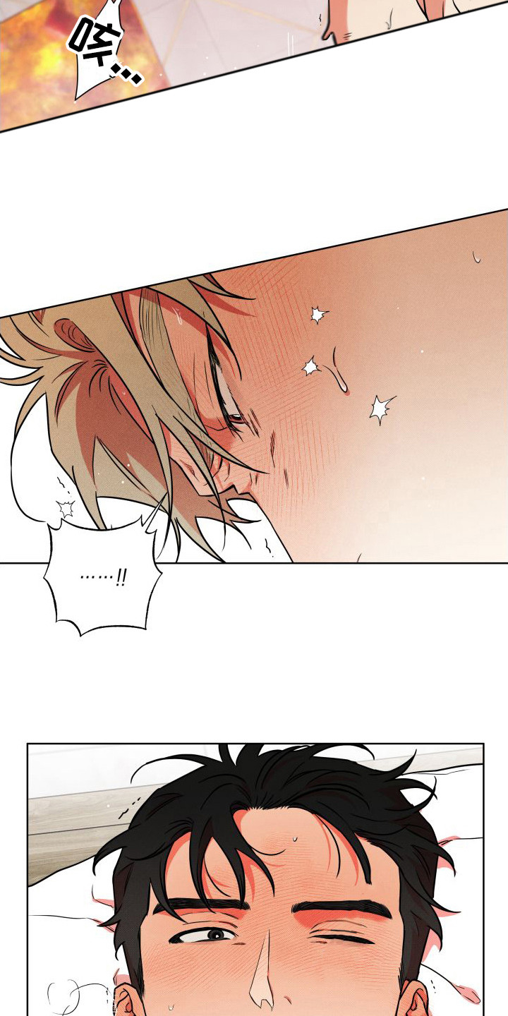 第22章：回报（完结）2