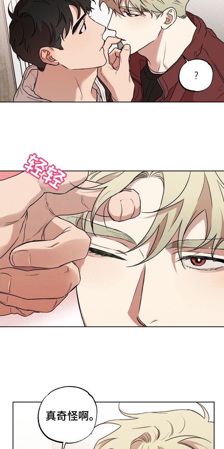 第10章：模棱两可2