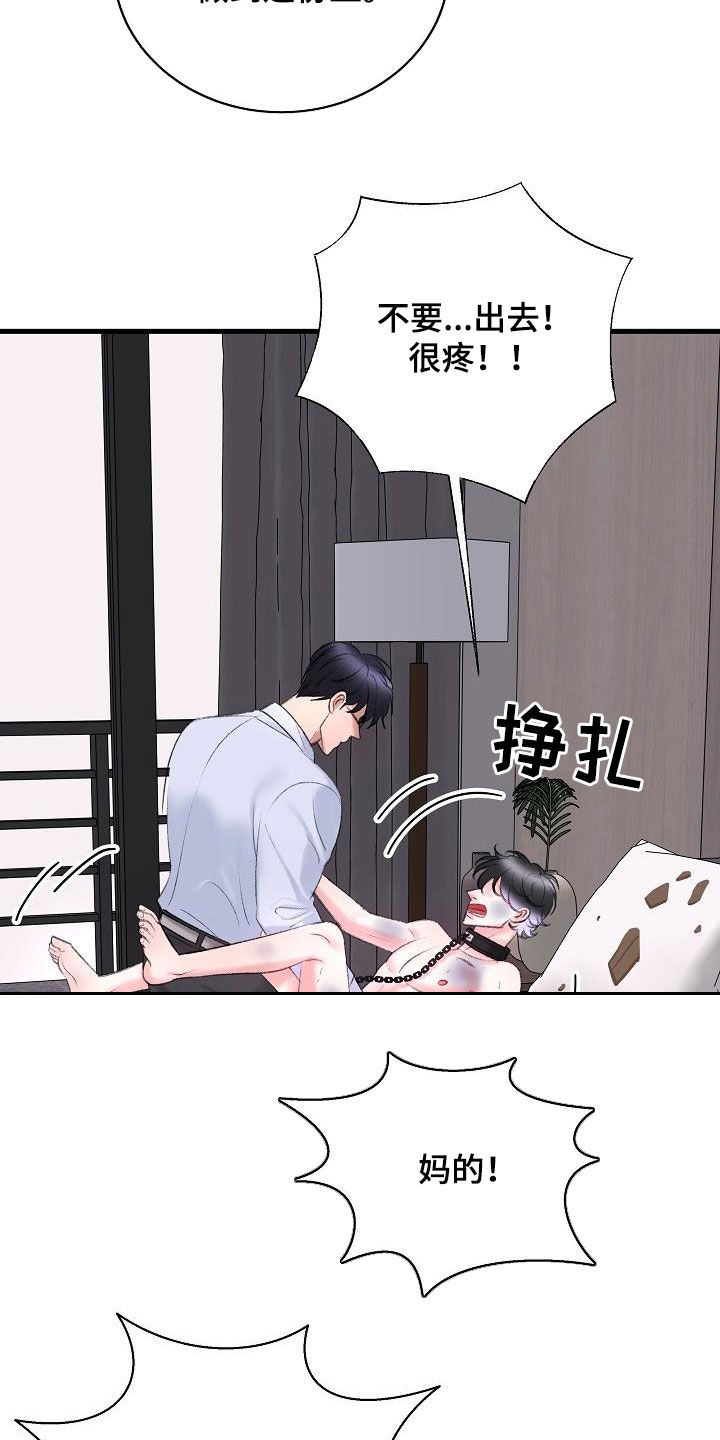 第40章：熟悉的声音1