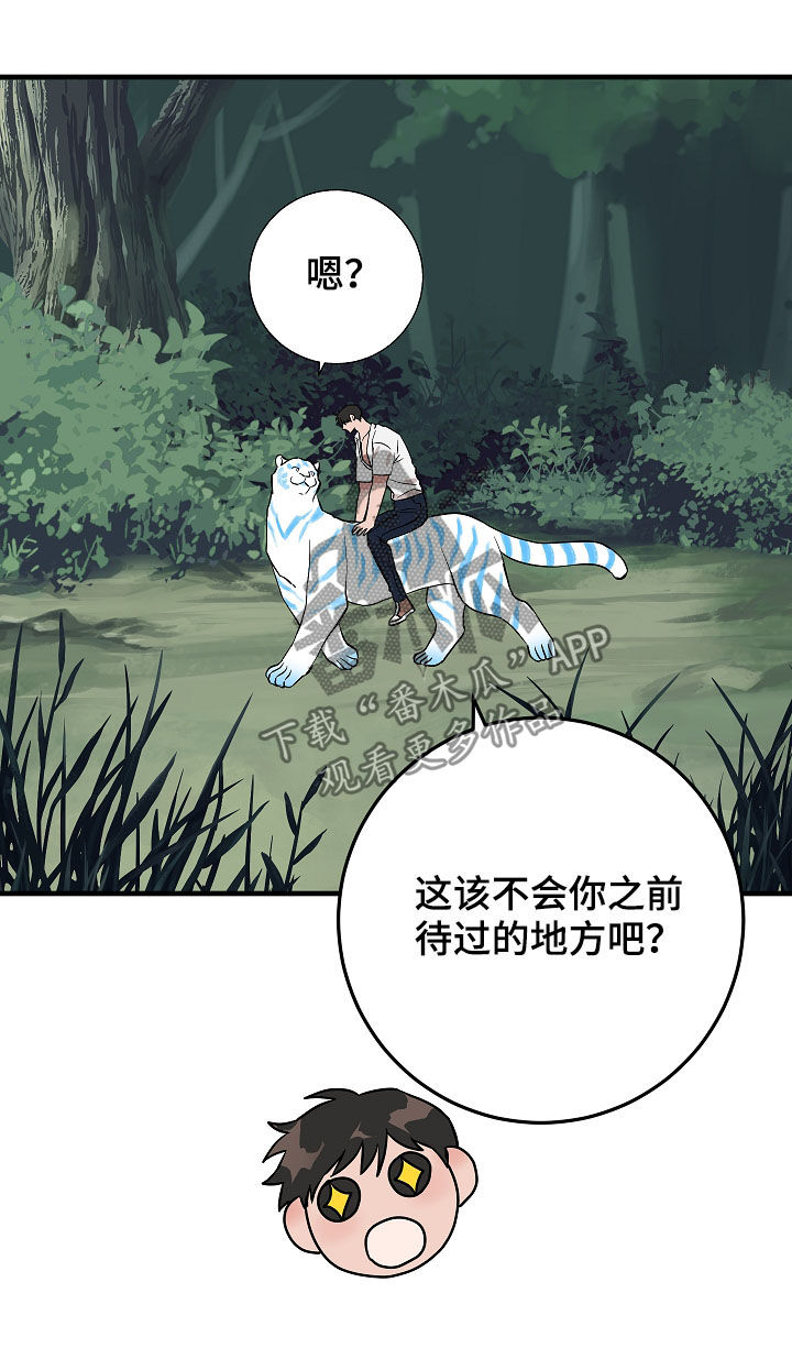 第78章：你才发现0