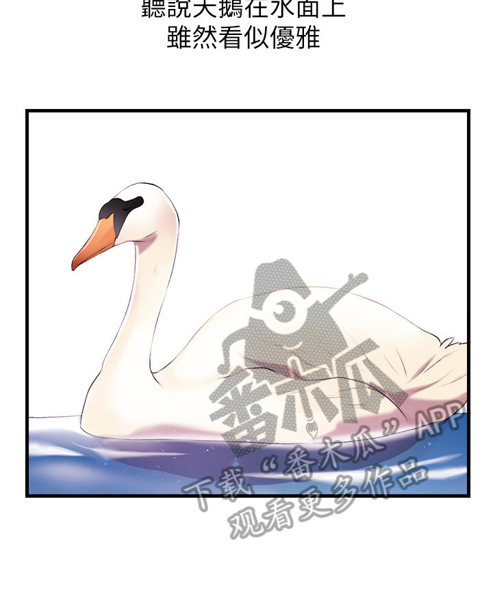 第2章：代主播3