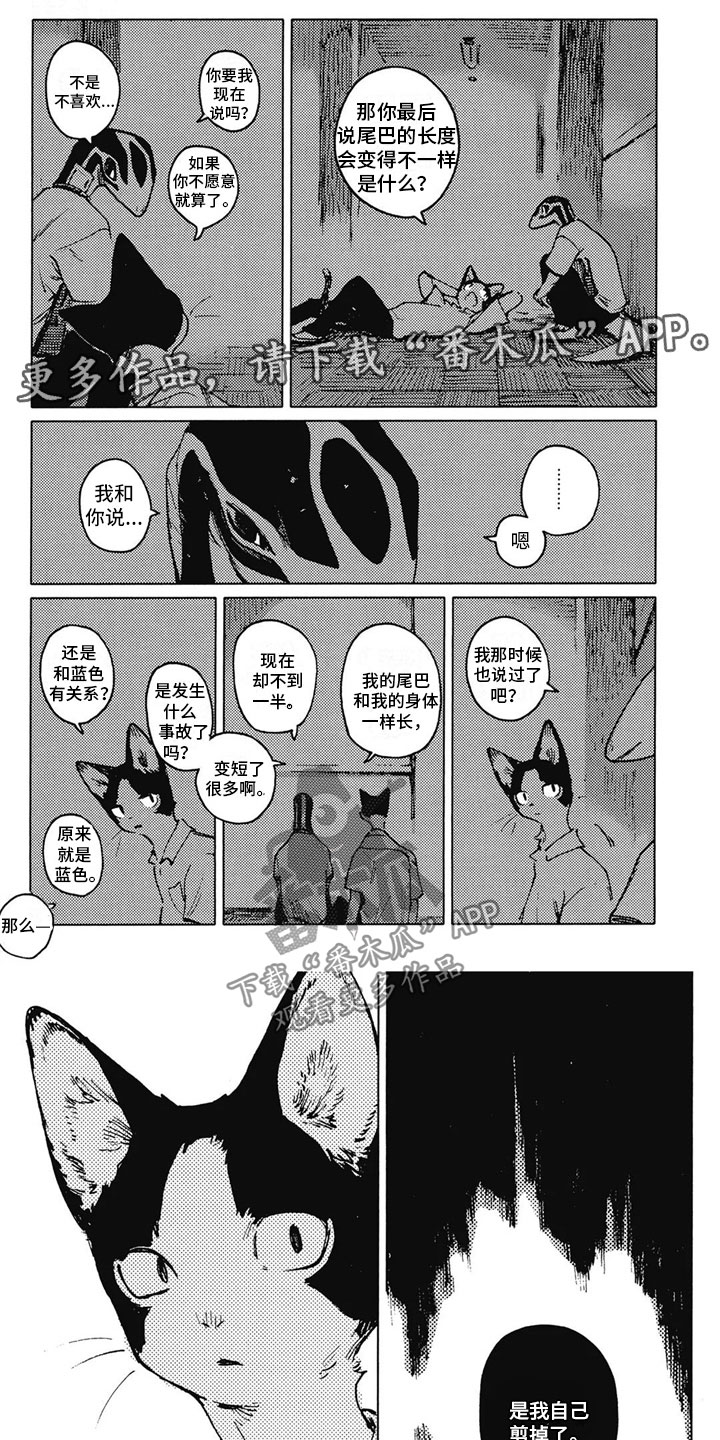 第28章：诉说往事0