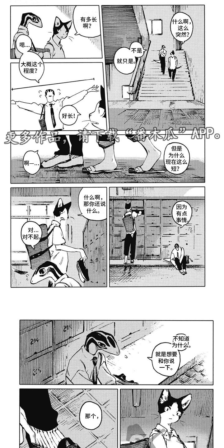 第17章：很在意0