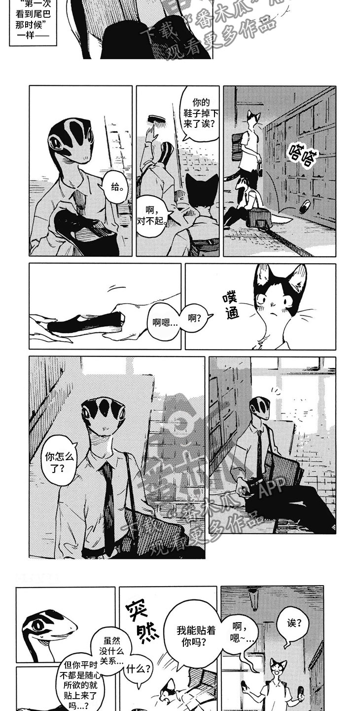 第17章：很在意2