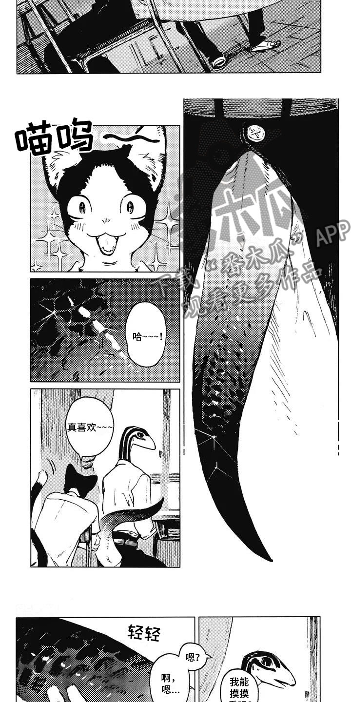 第5章：摸尾巴1