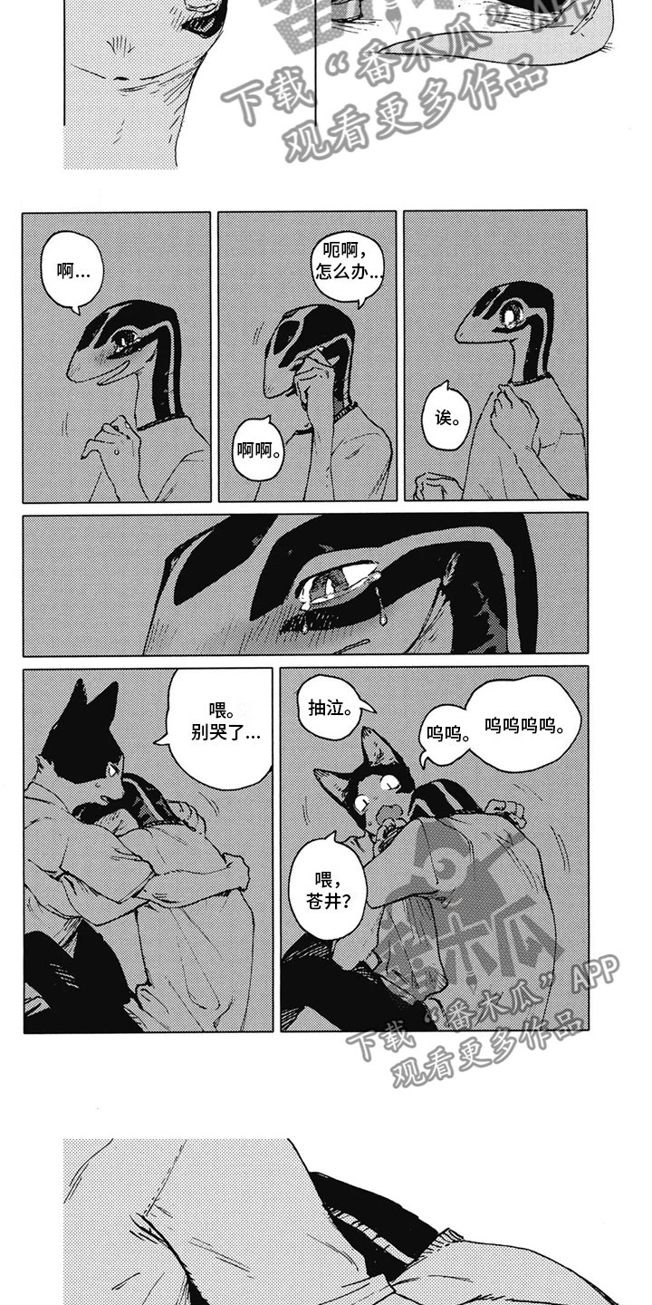 第32章：因为是你2