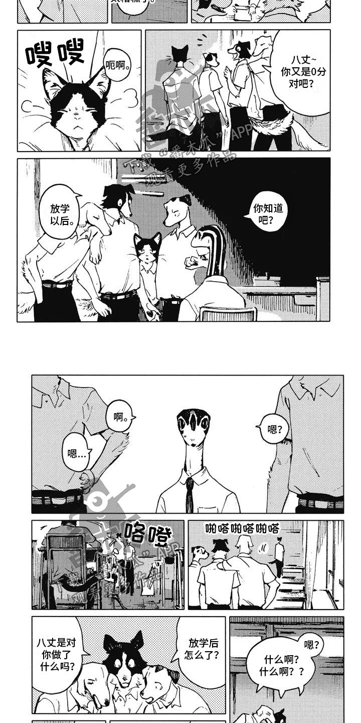 第4章：议论纷纷3