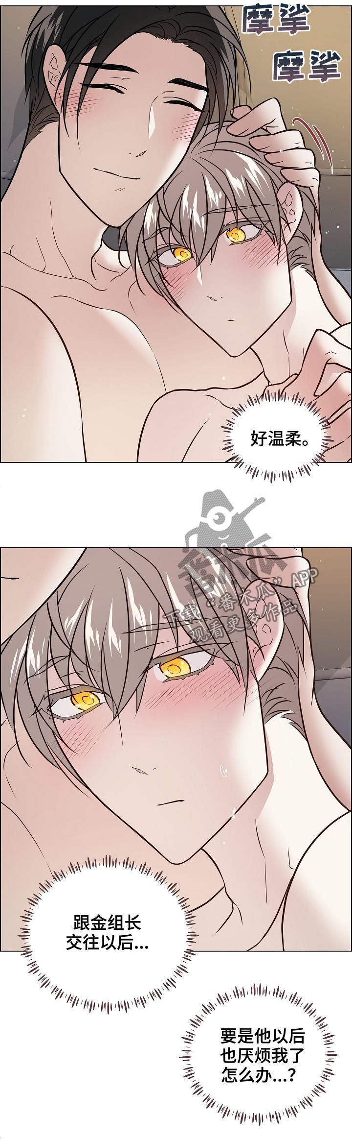 第54章：什么意思3