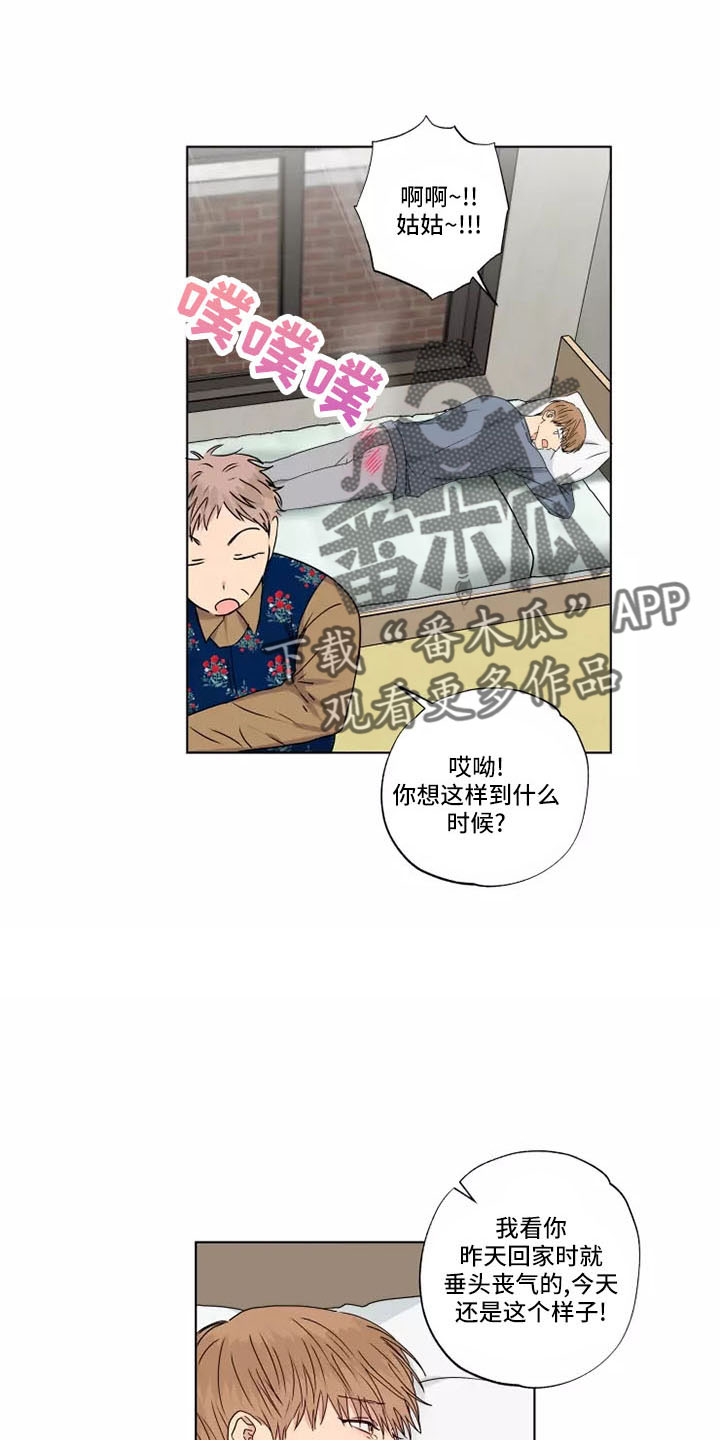 第43章：赶紧和解吧3