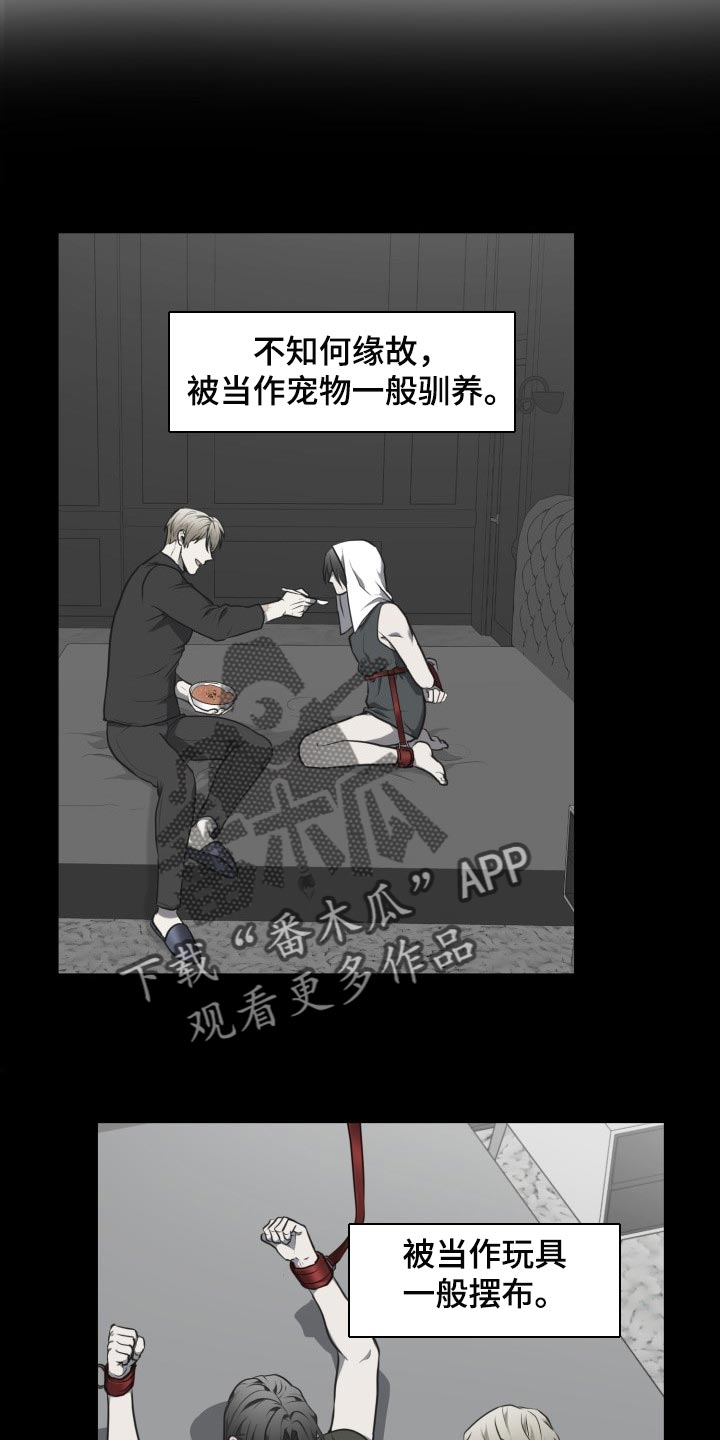 第20章：花柳钱3