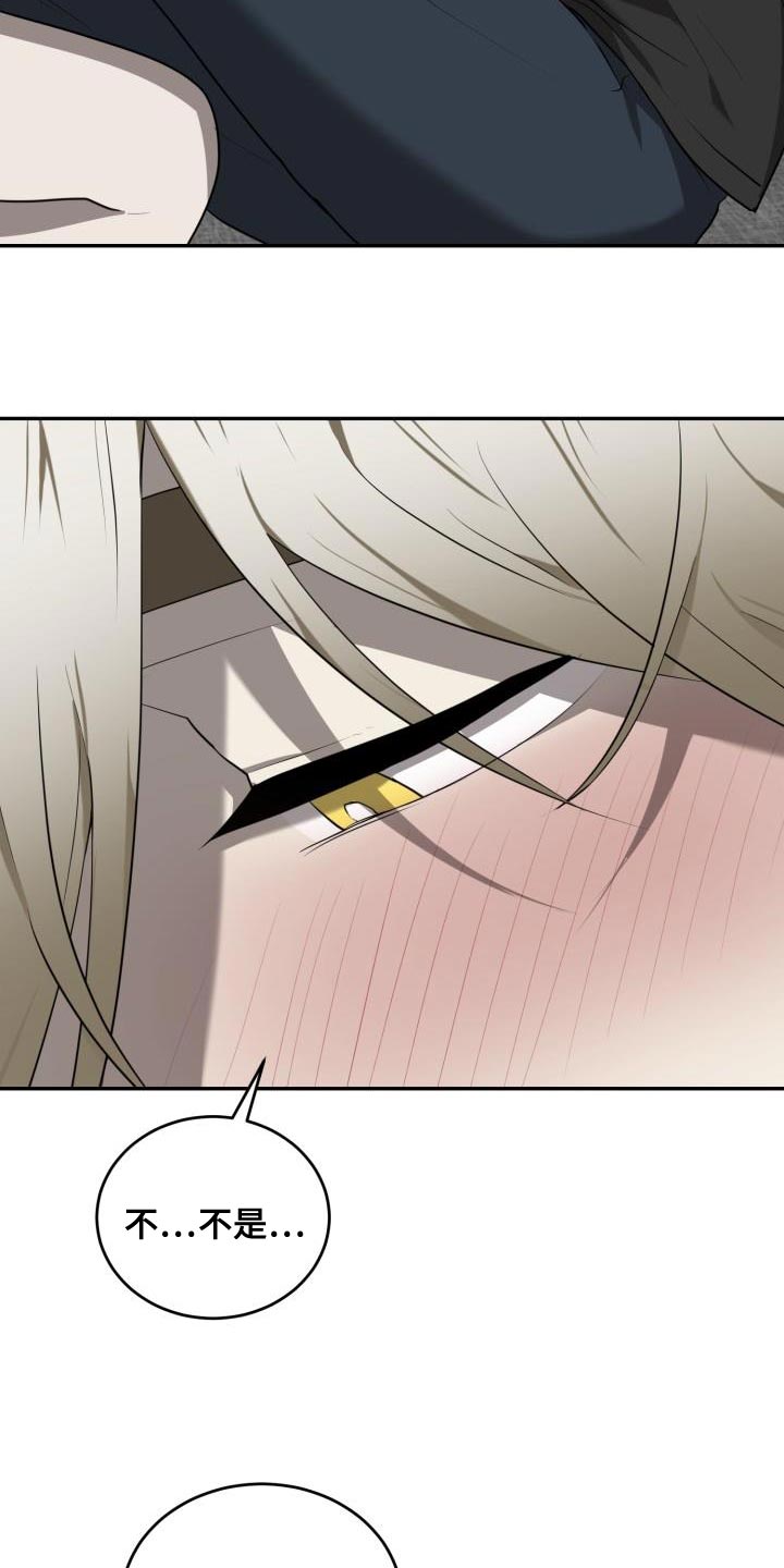 第67章：【第二季】你很善良4