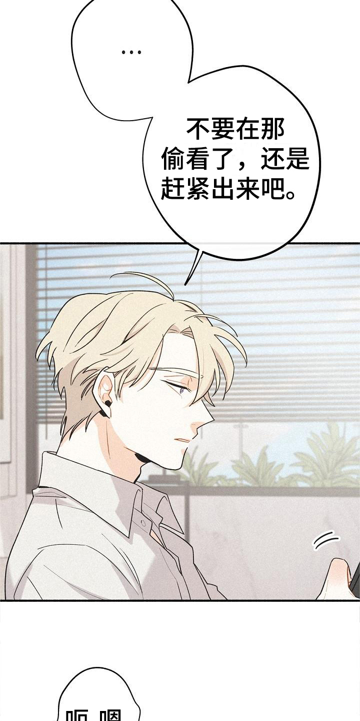 第7章：家没了3