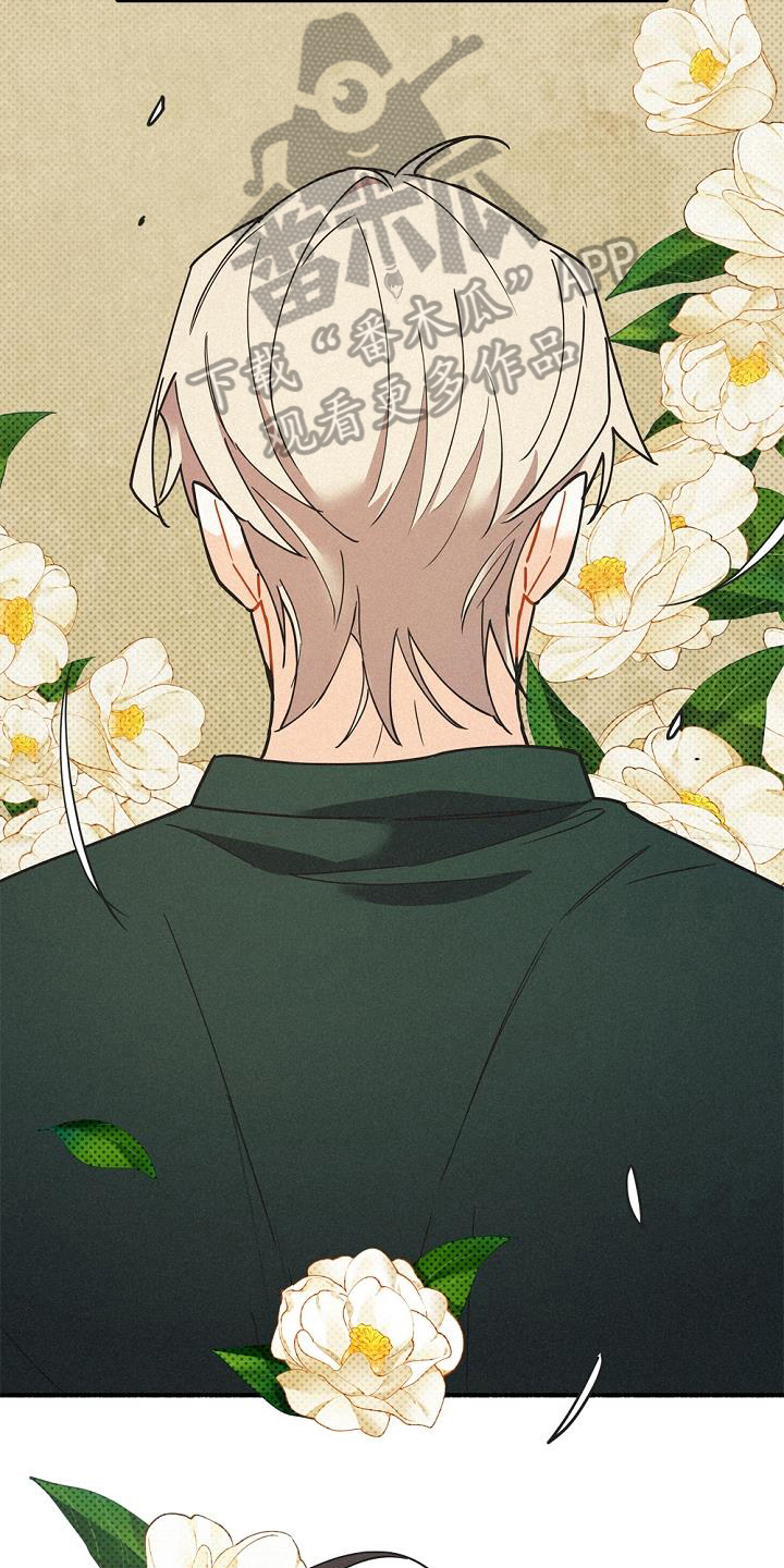 第44章：很善良3