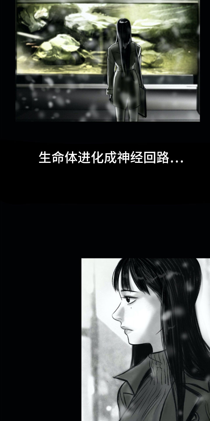 第1章：母亲的葬礼3