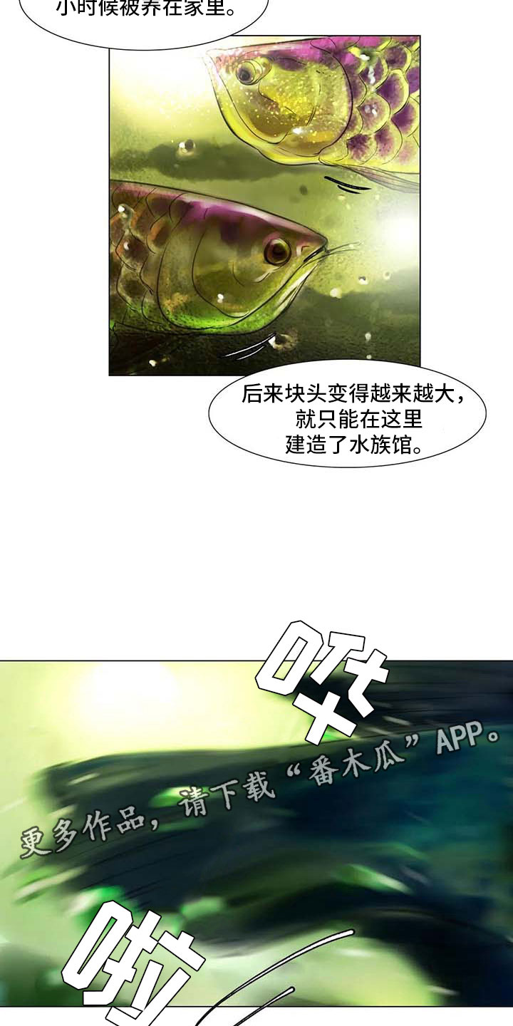 第26章：等待的乐趣2