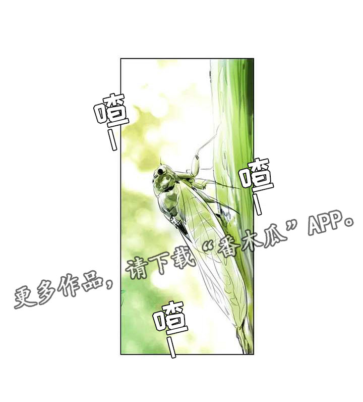 第41章：有话要说0