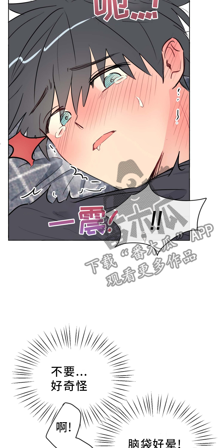 第27章：提起兴趣4