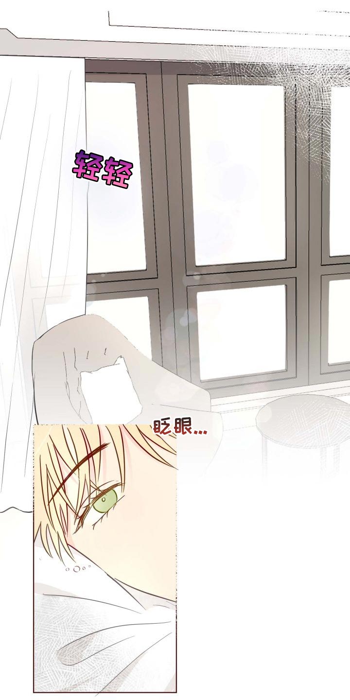 第66章：分明知道0