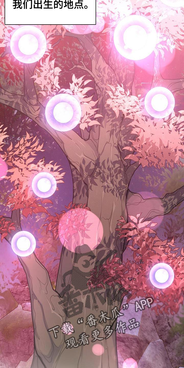 第95章：作战会议1