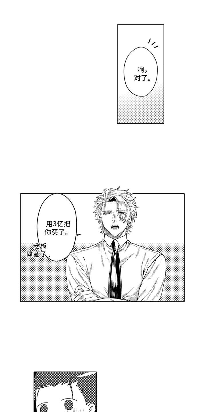 第4章：买下了4