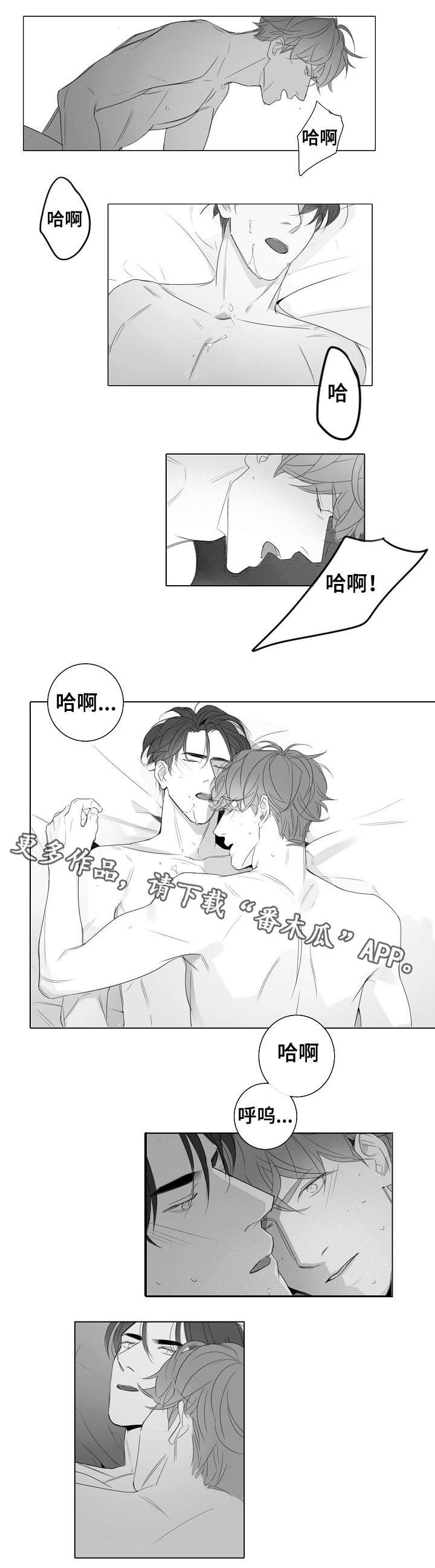 第29章：没必要3