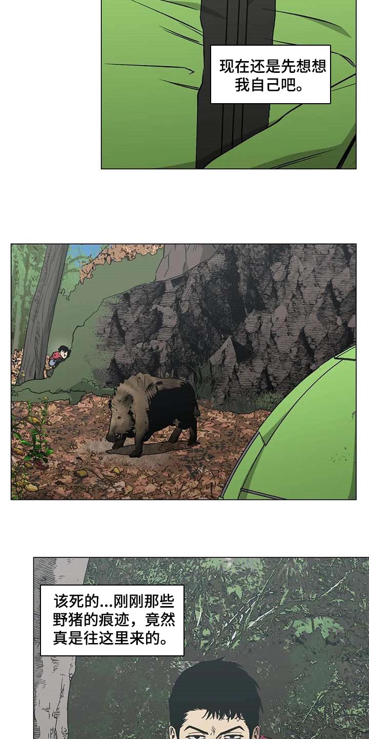 第37章：又多了一只1