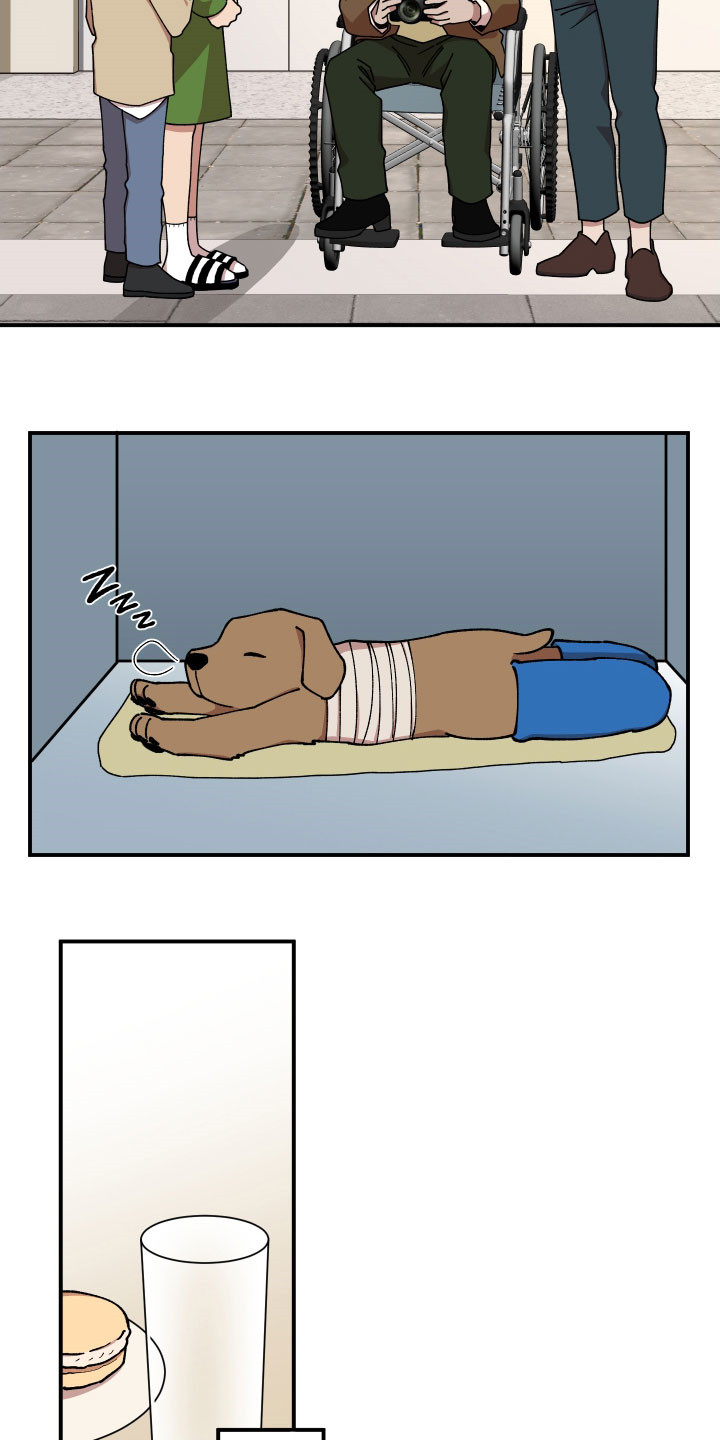 第46章：复杂的感情4