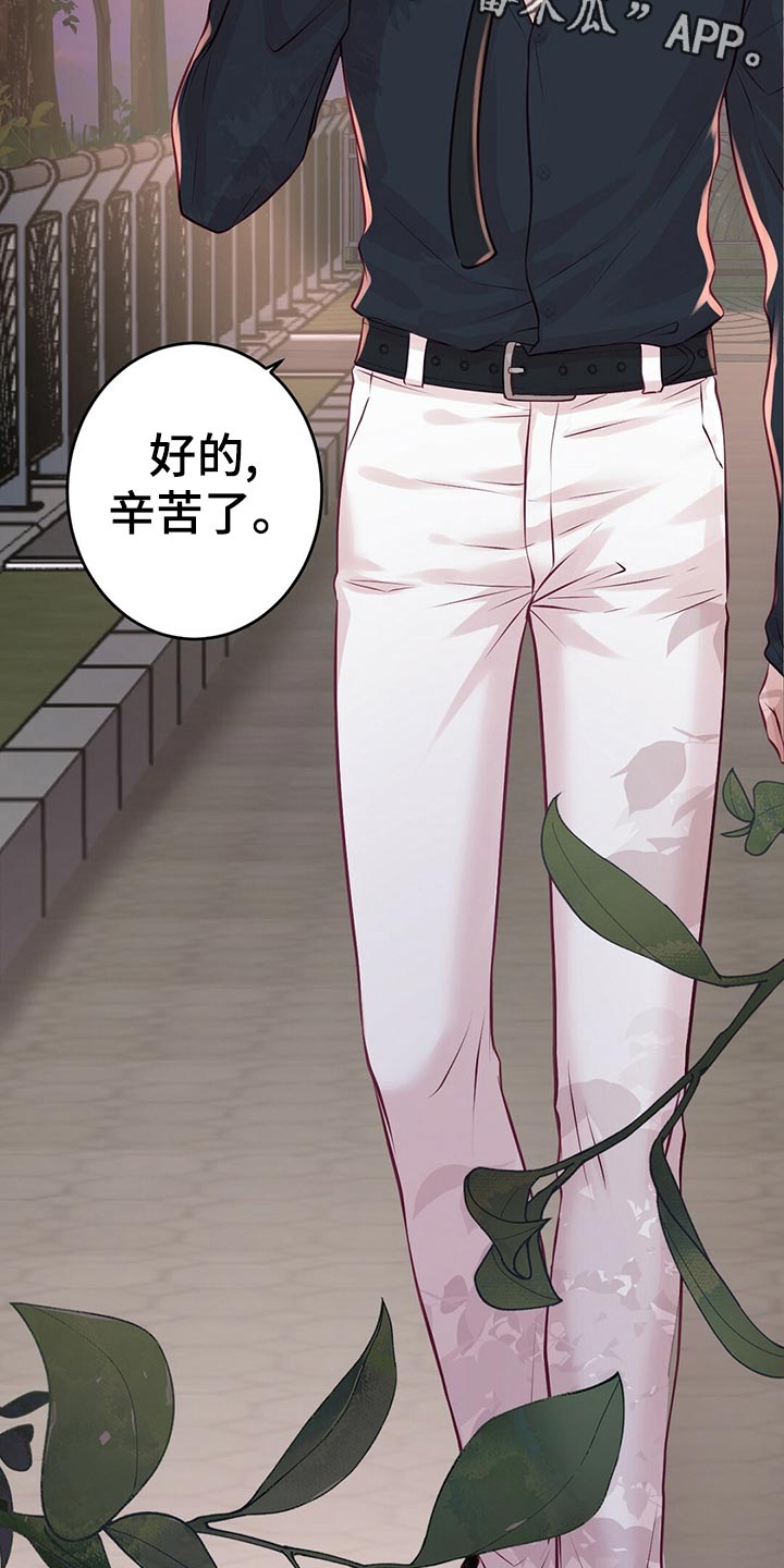 第30章：拍摄结束2