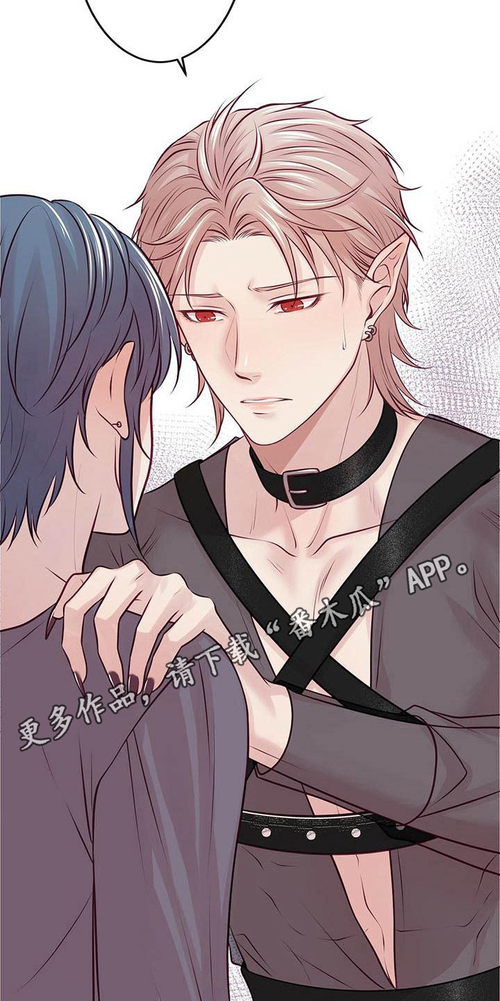 第22章：一见钟情4