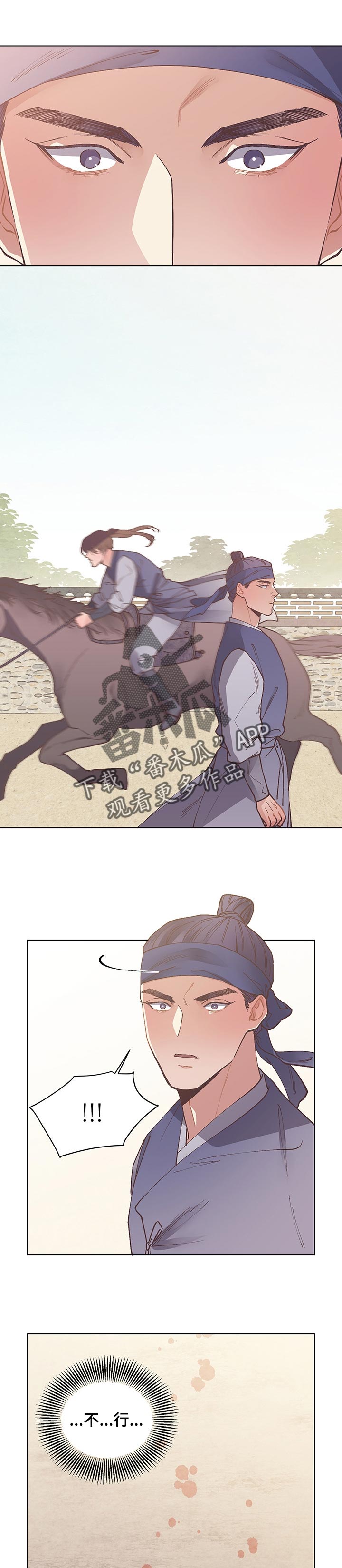 第46章：失控的马0