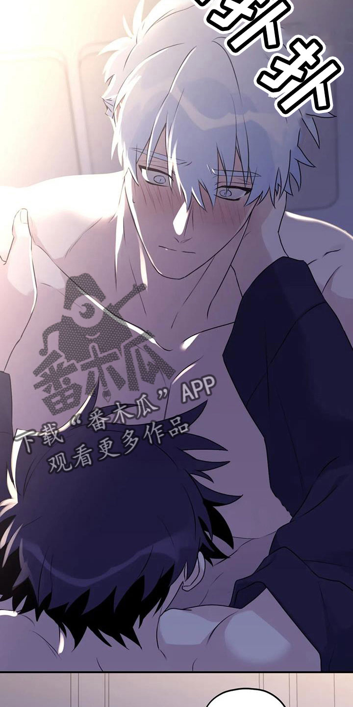 第116章：【番外】气味1