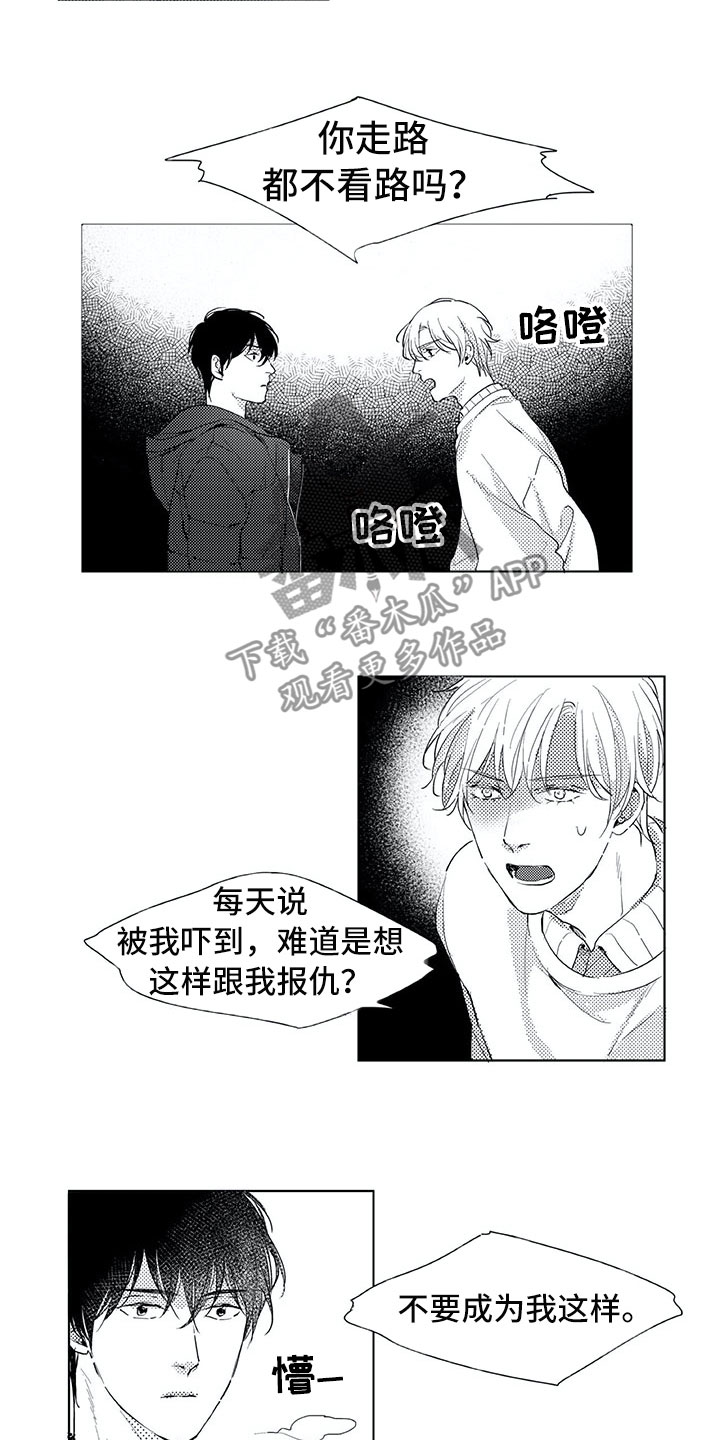 第18章：猫咪2