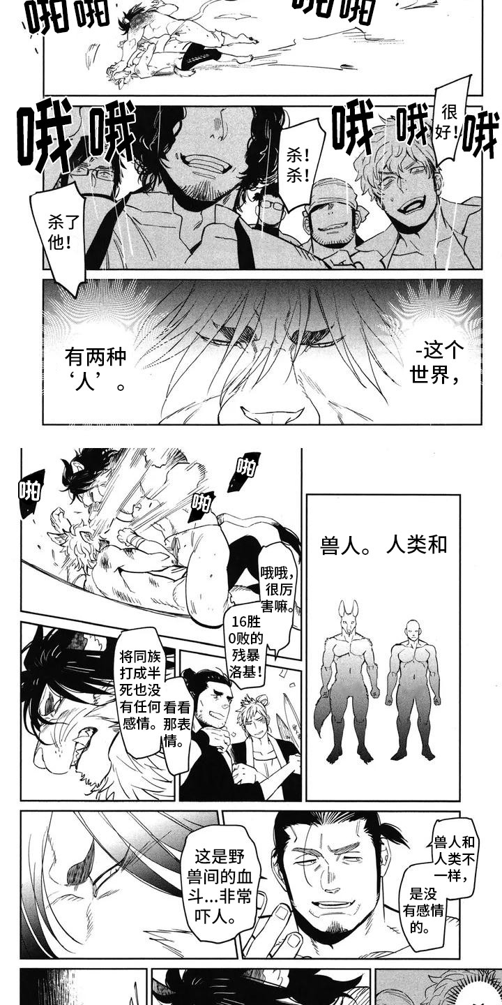 第1章：兽人拳击手1