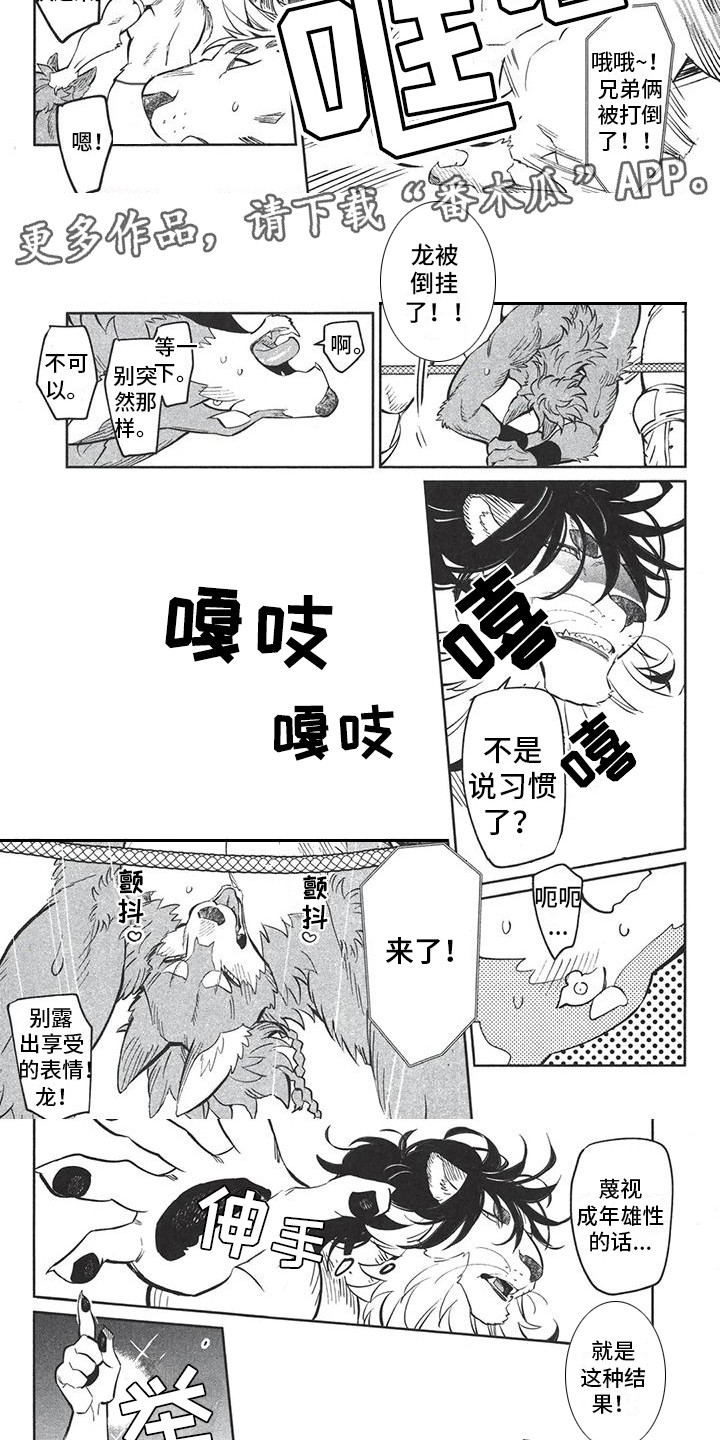 第9章：另类决斗4