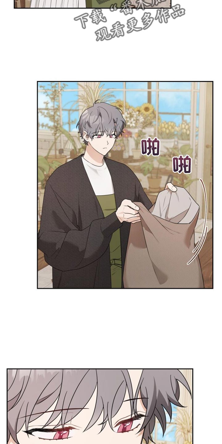 第16章：有趣的反应1