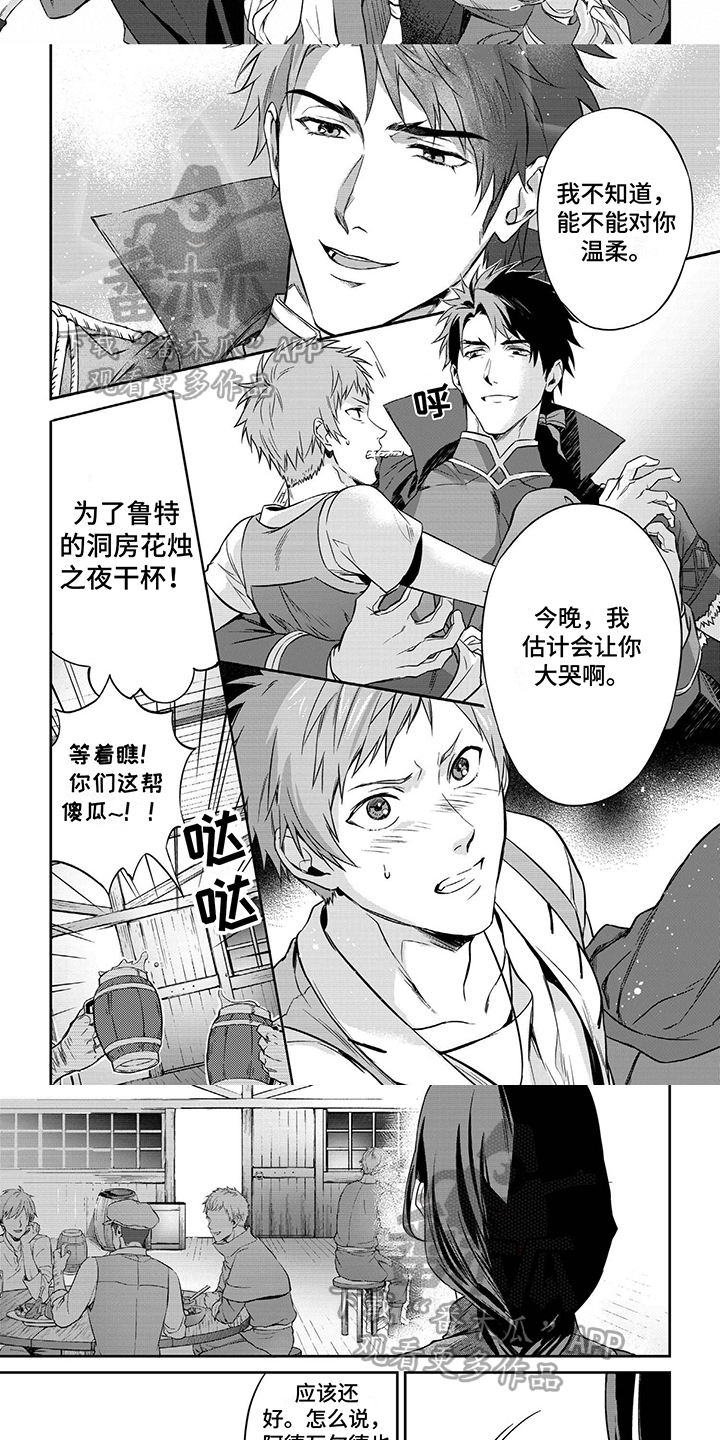 第8章：守护骑士3