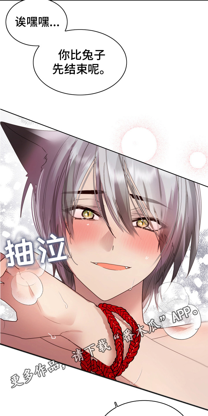 第13章：很华丽4