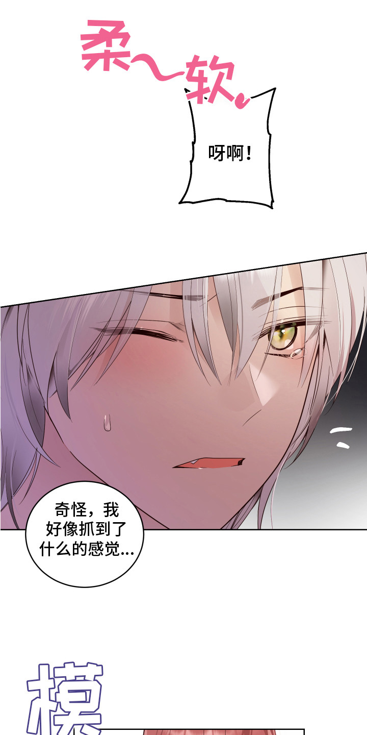 第2章： 一见钟情0