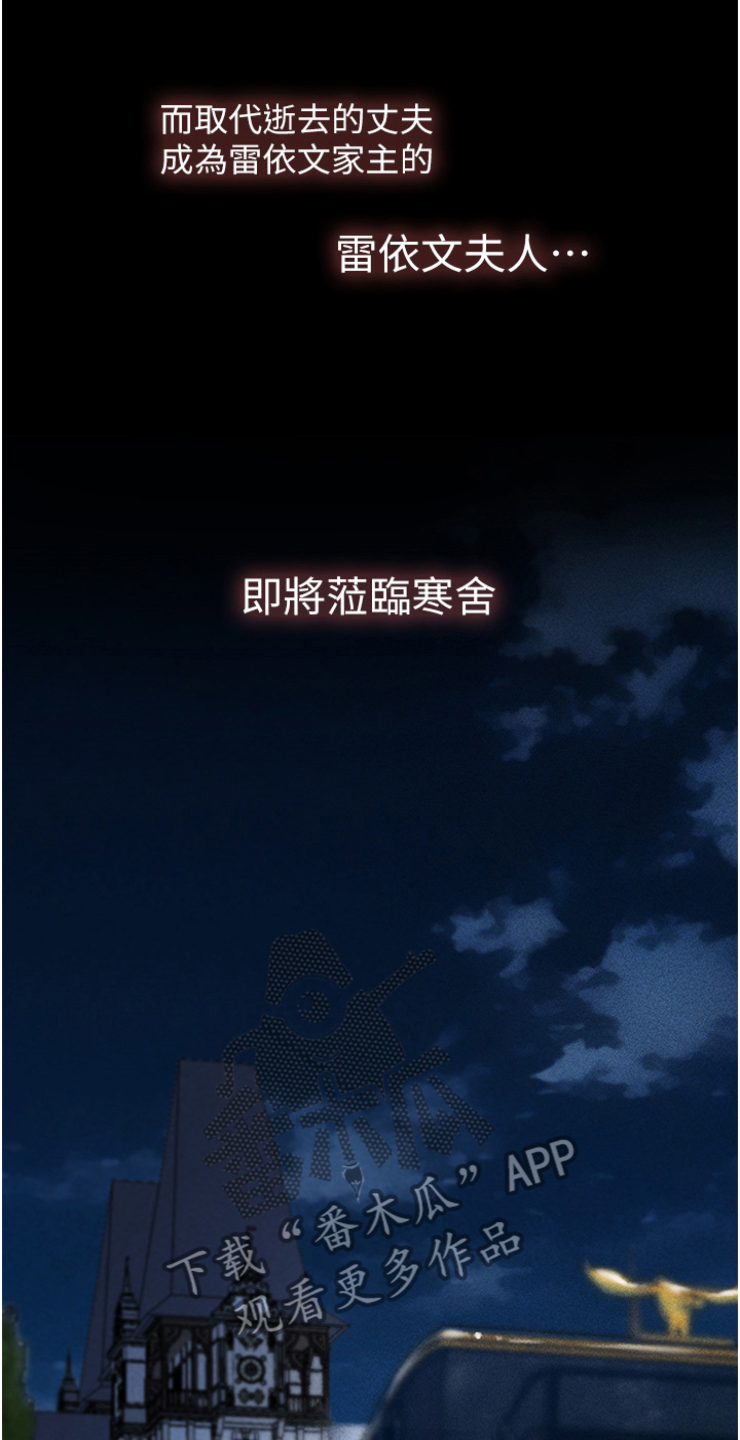 第16章：雷伊文夫人1