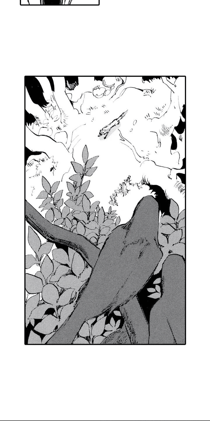 第1章：狼捡了人4