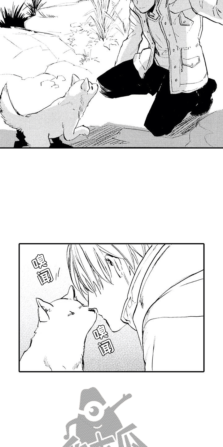 第11章：那个人在哪？4