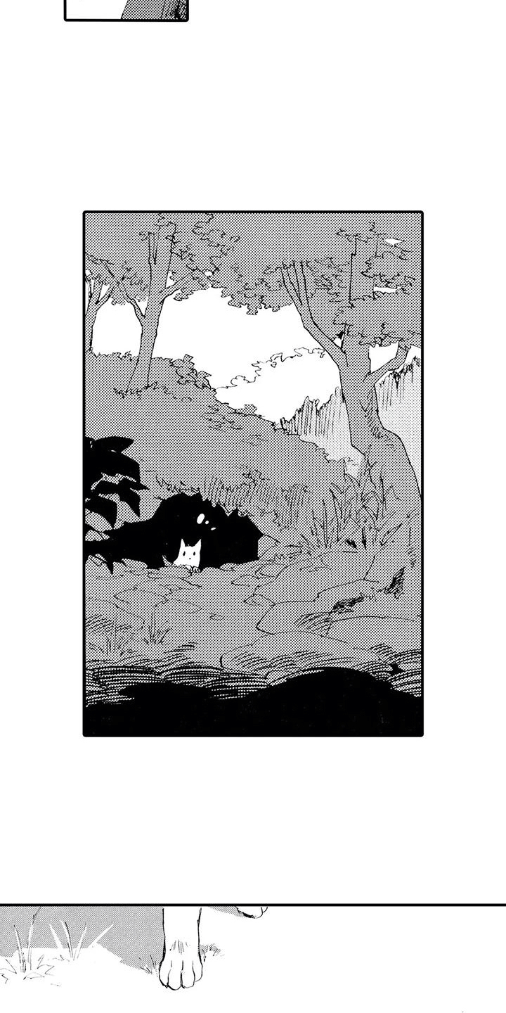 第11章：那个人在哪？2